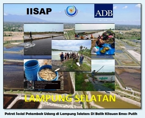 Potret Sosial Petambak Udang di Lampung Selatan: Di Balik Kilauan Emas Putih
