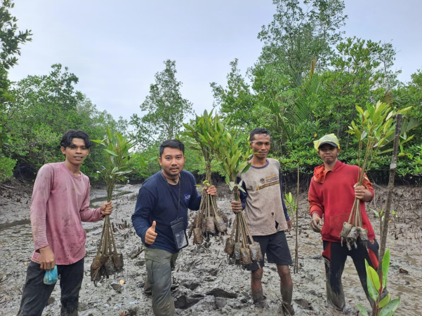 Penanaman Mangrove : Upaya Konservasi dan Perlindungan Lingkungan Pesisir di Kecamatan Seuneuddon Kabupaten Aceh Utara Provinsi Aceh