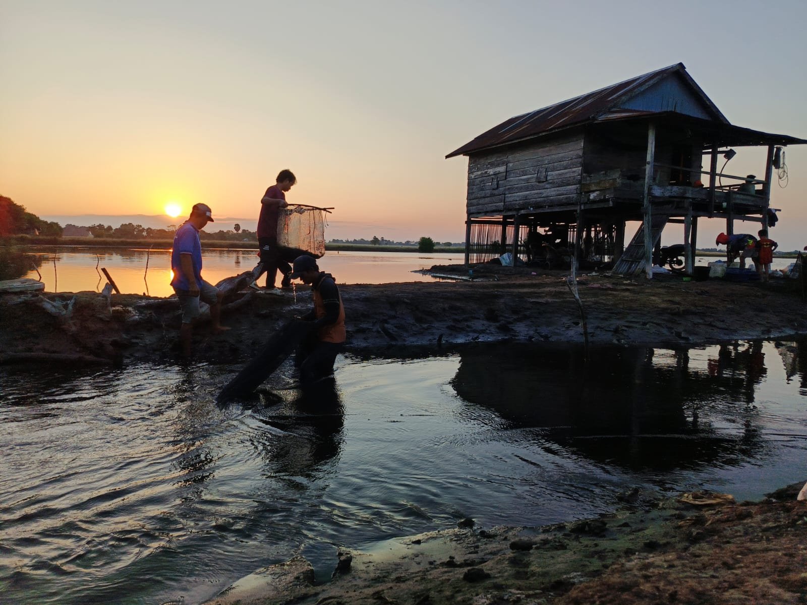 KAJIAN TENTANG MANAJEMEN BUDIDAYA DENGAN PENAMBAHAN DEDAK FERMENTASI PADA BUDIDAYA UDANG VANNAMEI (PENAEUS VANNAMEI) SISTEM TRADISIONAL