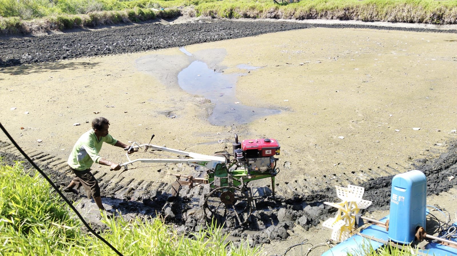 [LITERASI IKLIM] Ketika Laut Tak Lagi Seperti Dulu: Petambak Udang di Persimpangan Iklim