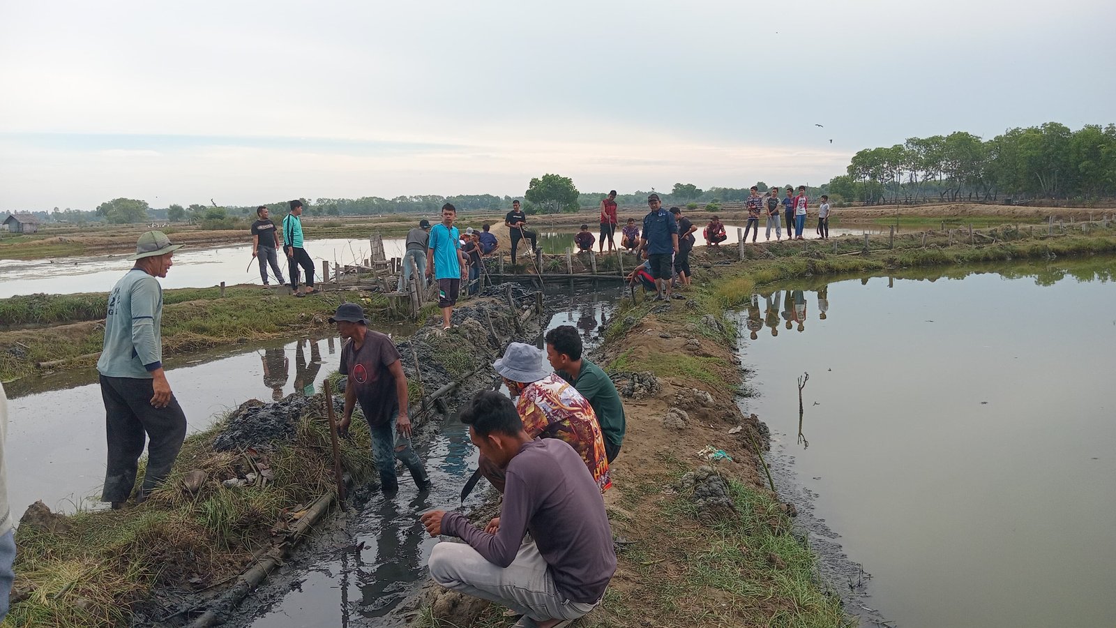 Hidupkan Kembali Semangat 'Meuseuraya', Ratusan Warga Kayee Panyang Selamatkan Saluran Tambak Kritis