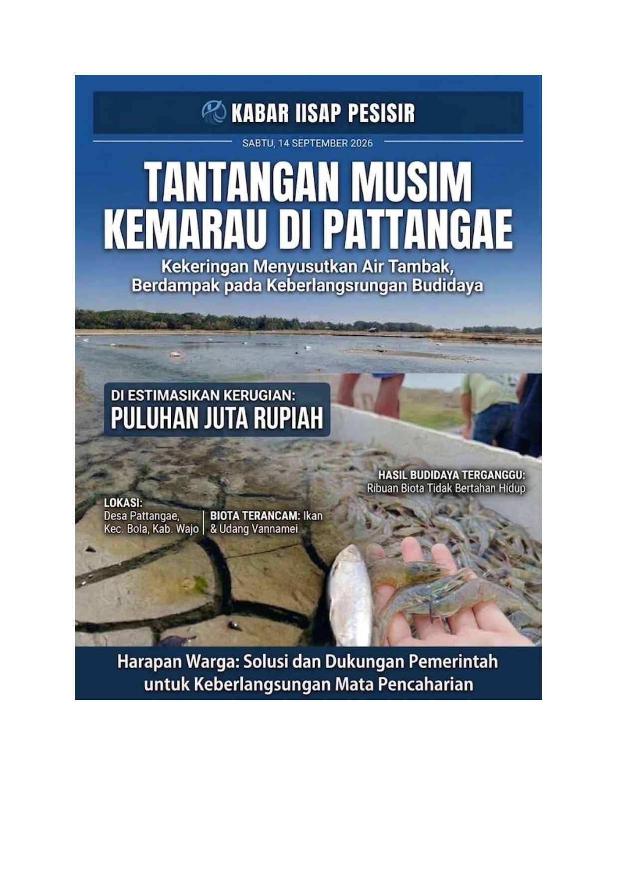 Tantangan Musim Kemarau di Pattange, Wajo